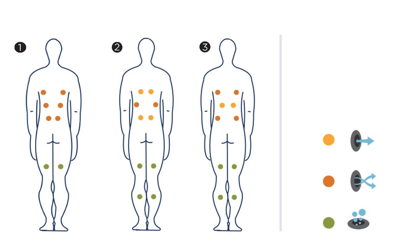 Tessera Body Positions 1, 2, 3 snippet (web)